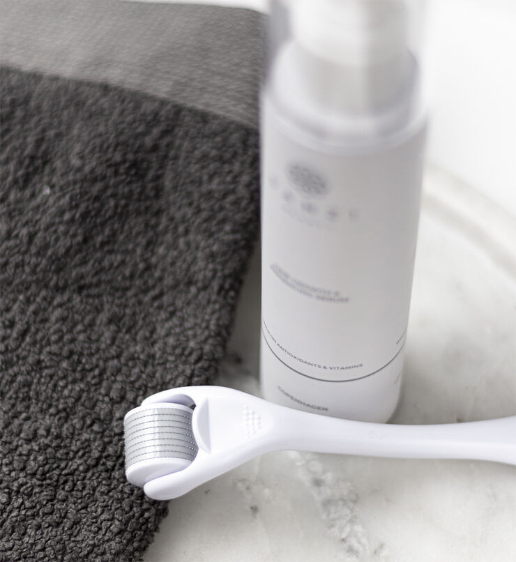 Sanzi Beauty * Micro Needle Roller