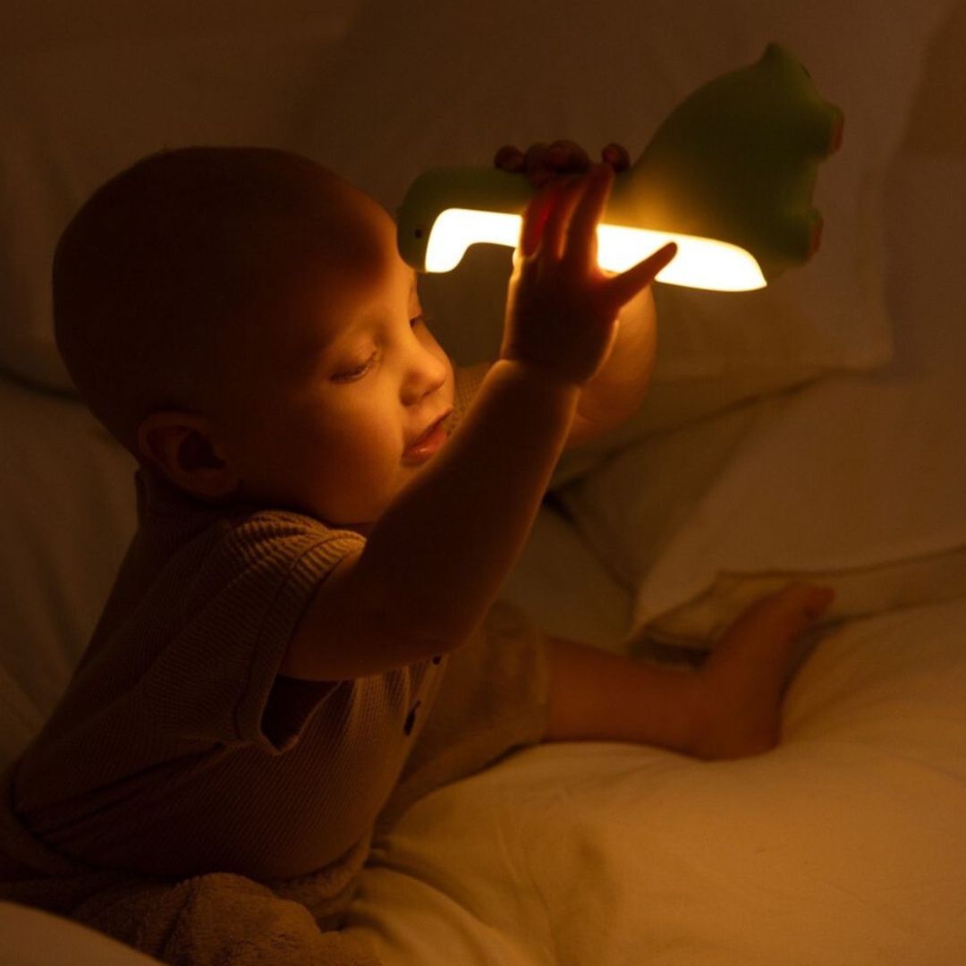 Mary's nachtlampje dinosaurus