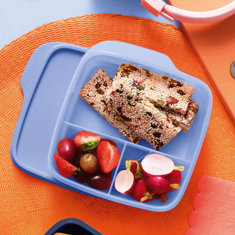 Eco+ Pausen-Box 550 ml Dein cleverer Begleiter für den Pausensnack