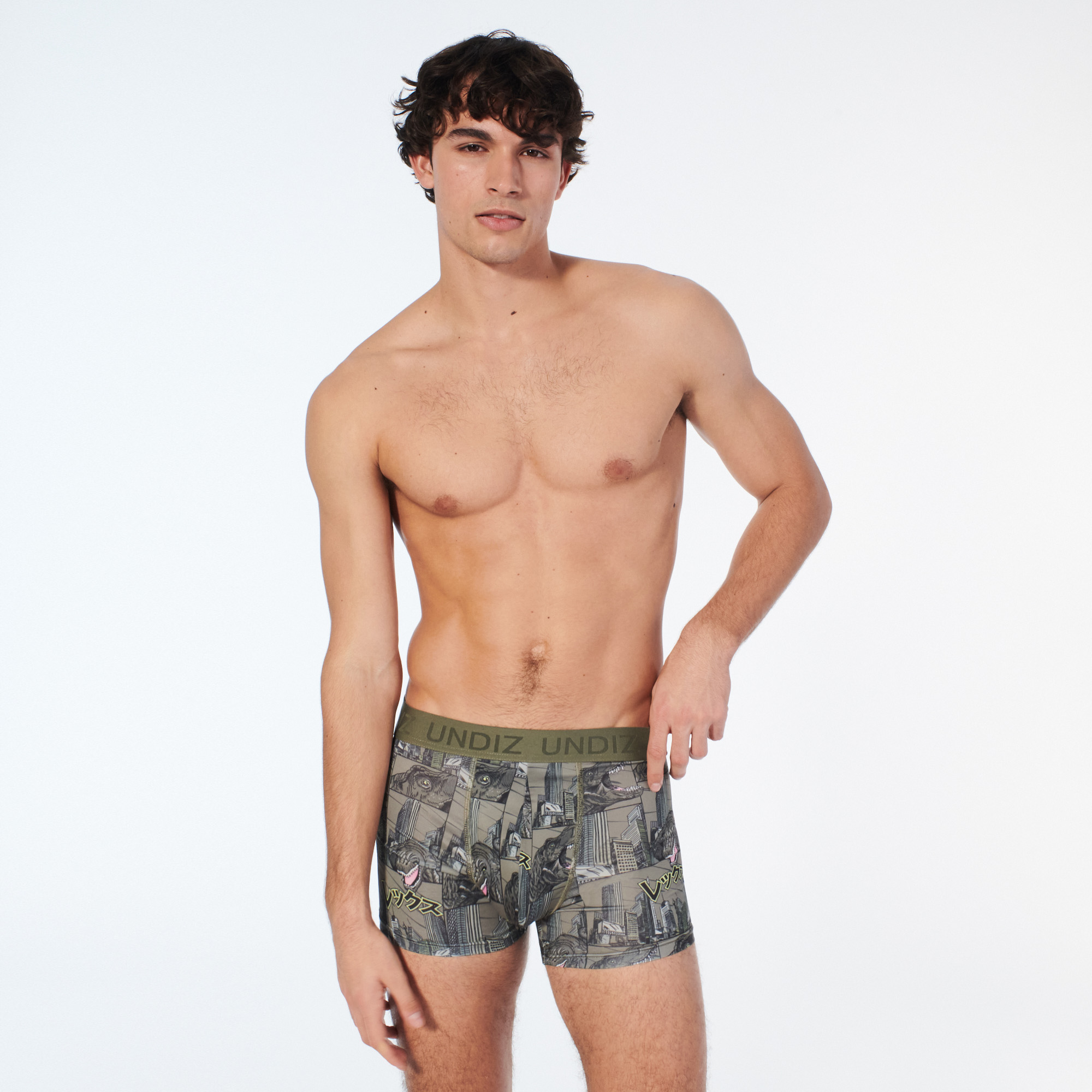 Boxer à motifs dinosaures en microfibre