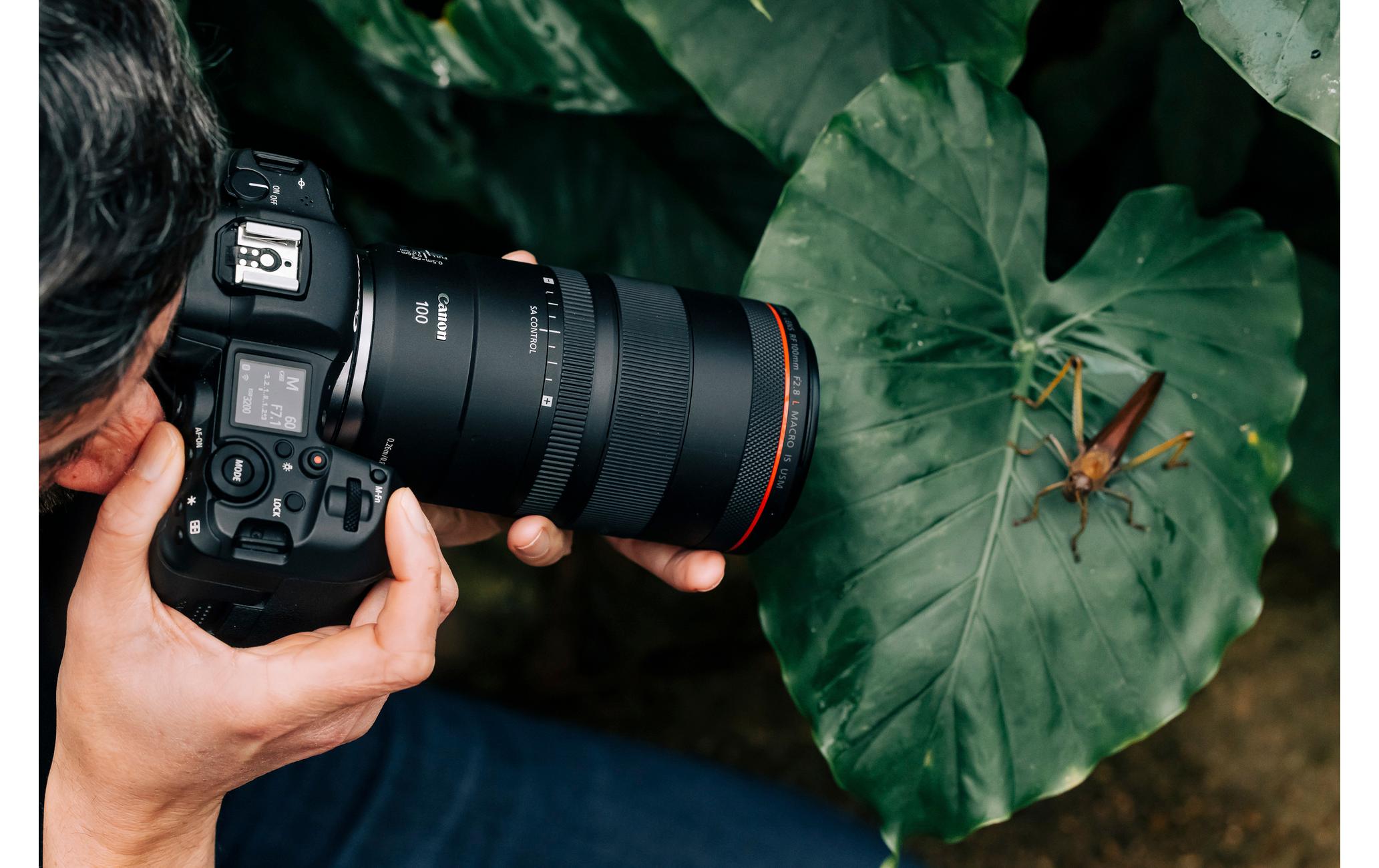 Festbrennweite RF 100mm F/2.8 L Macro IS USM – Canon RF<br>Makroobjektiv mit einer unglaublichen 1.4-fachen Vergrösserung