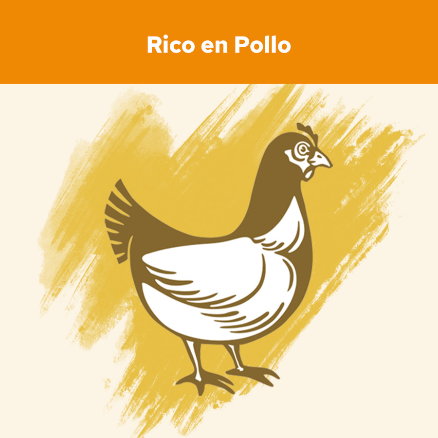 Ração para gatos adultos Cat Chow sabor frango