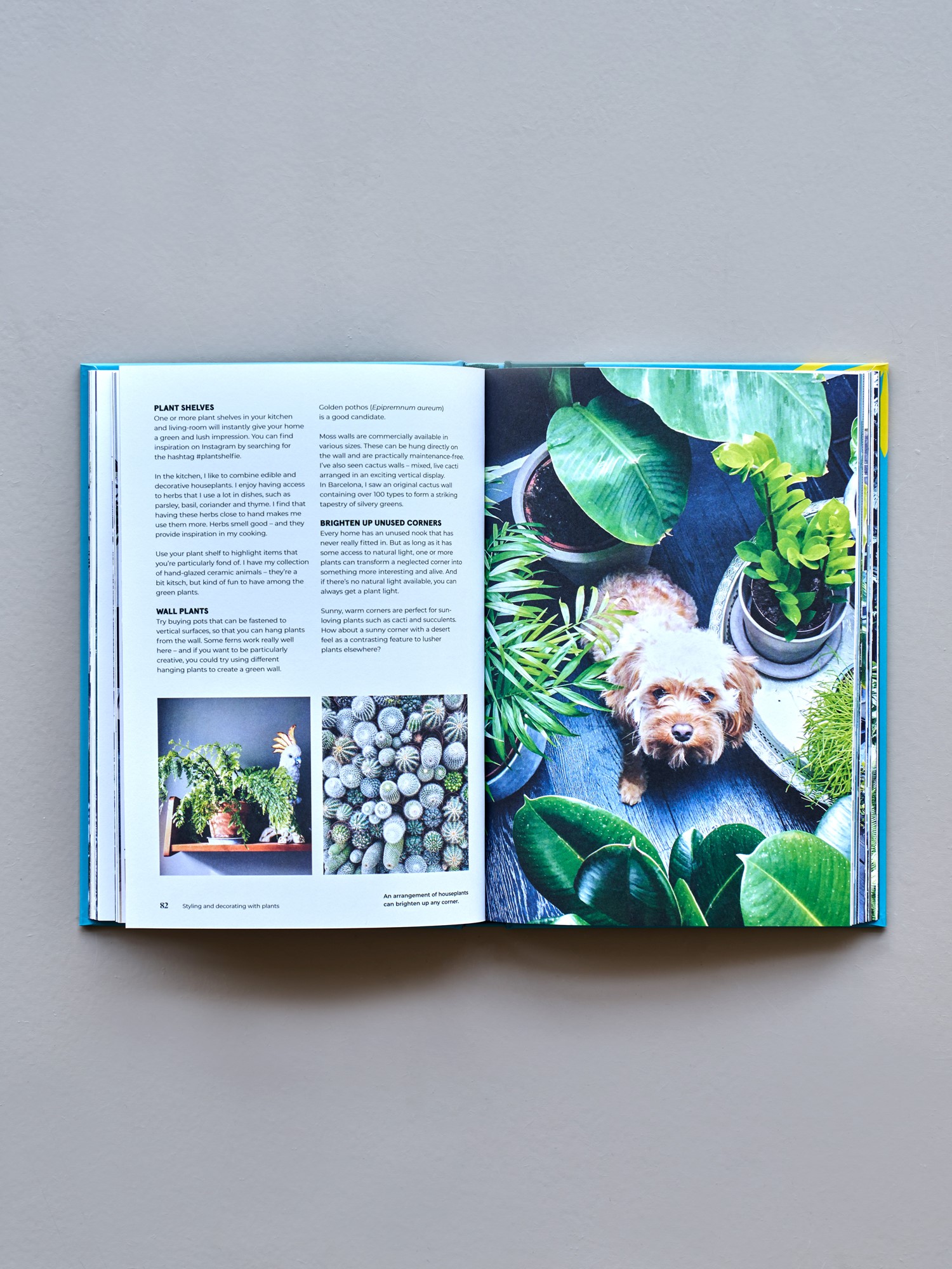 Green Home - The Joy of Living with Plants | Hardcover. Engelsk. 18 x 25,5 x 2 cm. 160 sider. | Mint Leaf | New Mags