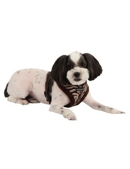 Puppia Modern Harness Brown