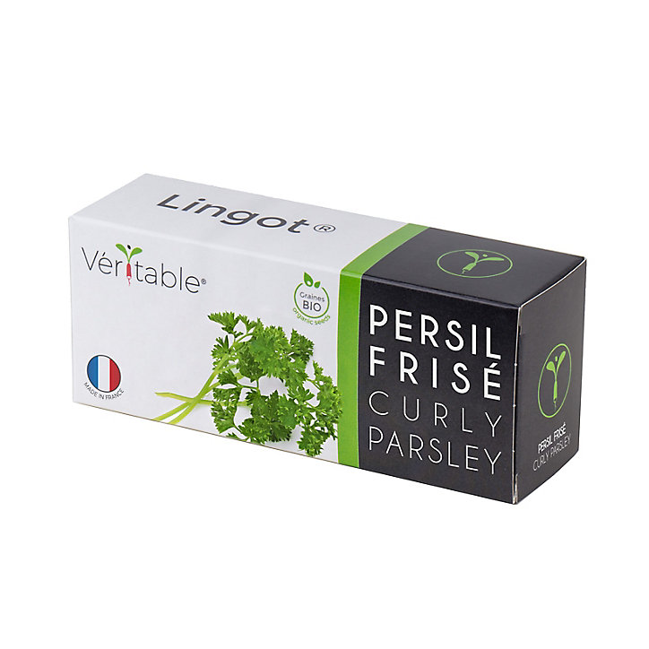 Lingot® Persil frisé Bio pour potager Véritable®