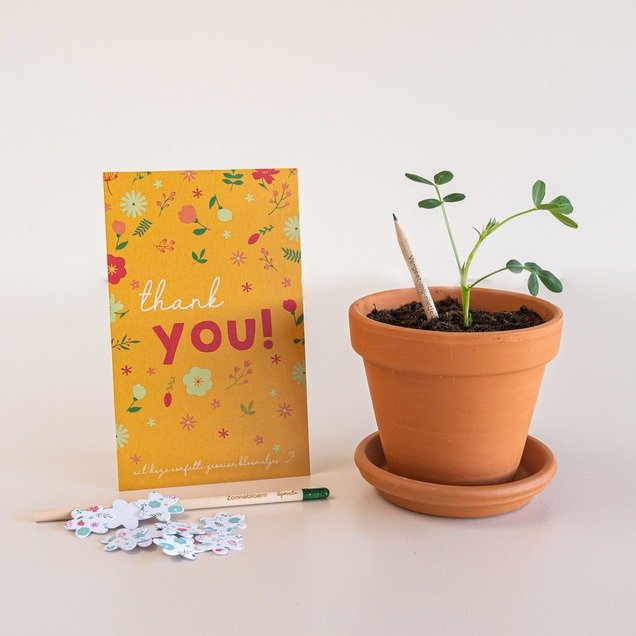 Bloeipotloden - Thank you   confetti
