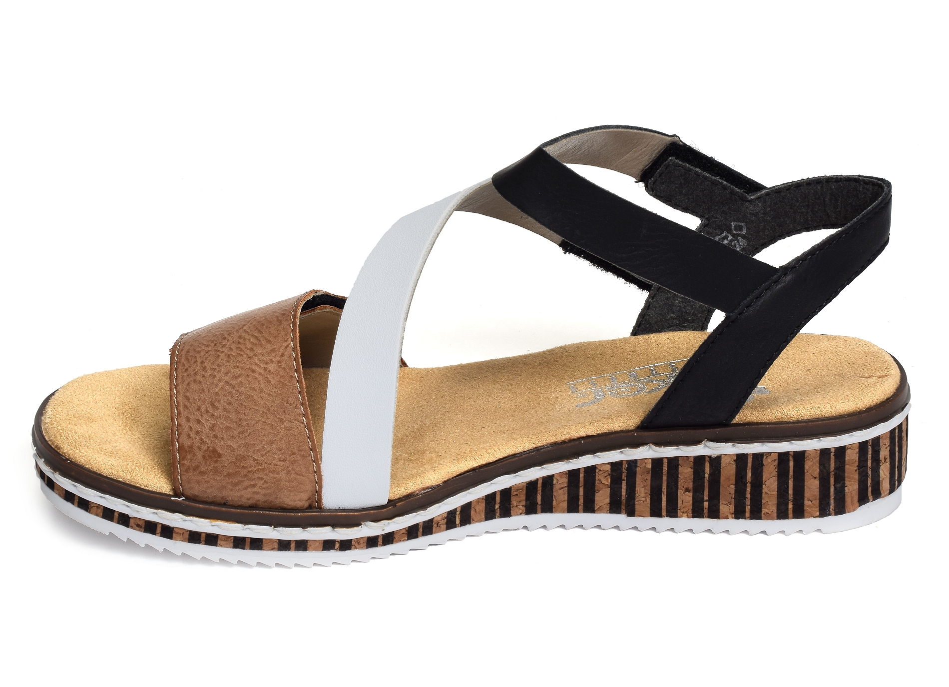 V3670 blanc marron