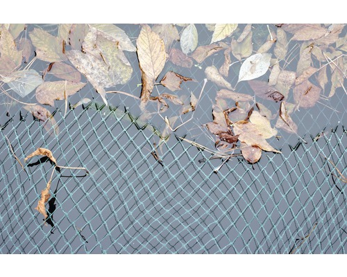 FloraSelf bladbeschermingsnet 3x2 m maaswijdte 20 mm