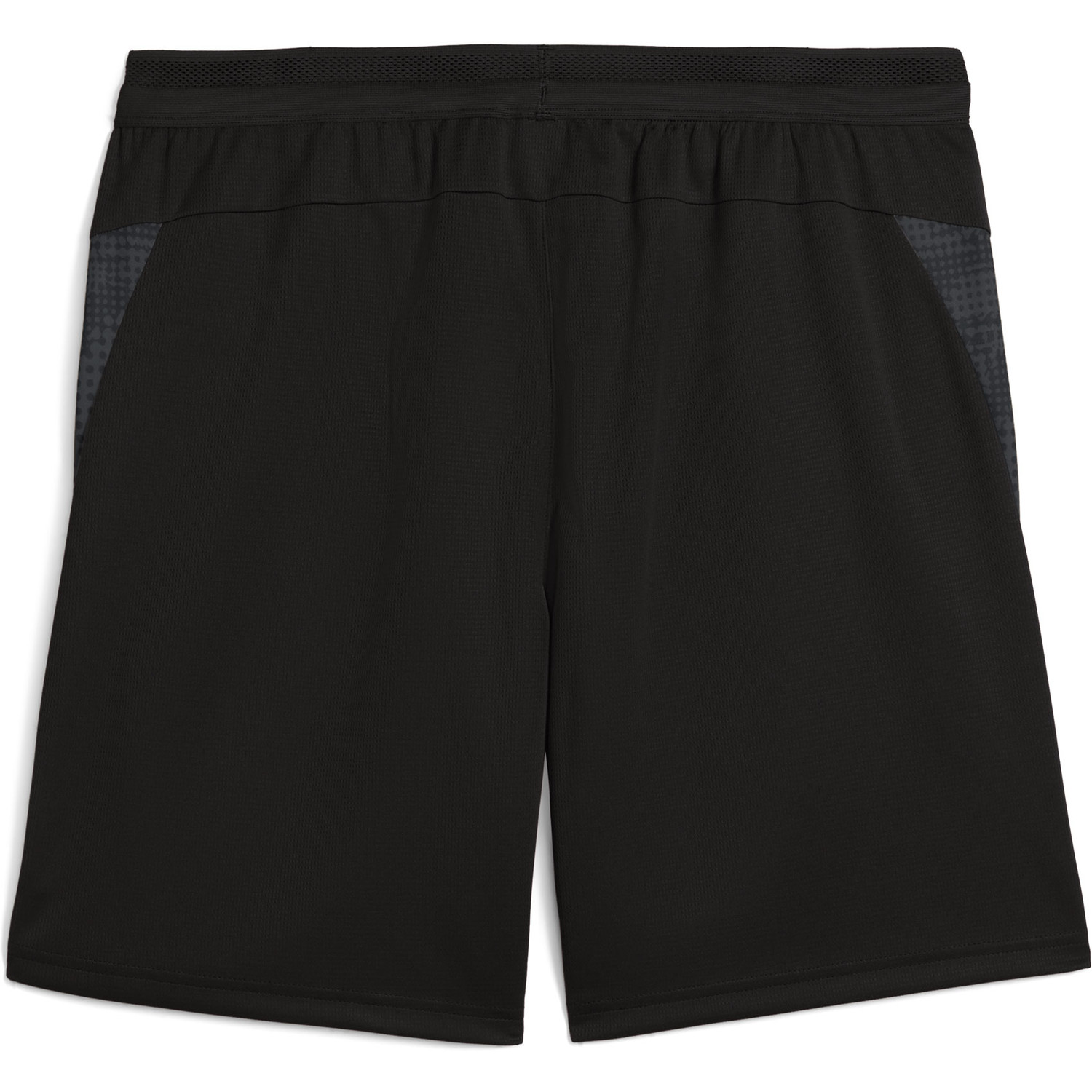Puma Galatasaray Training Short 2025/2026
