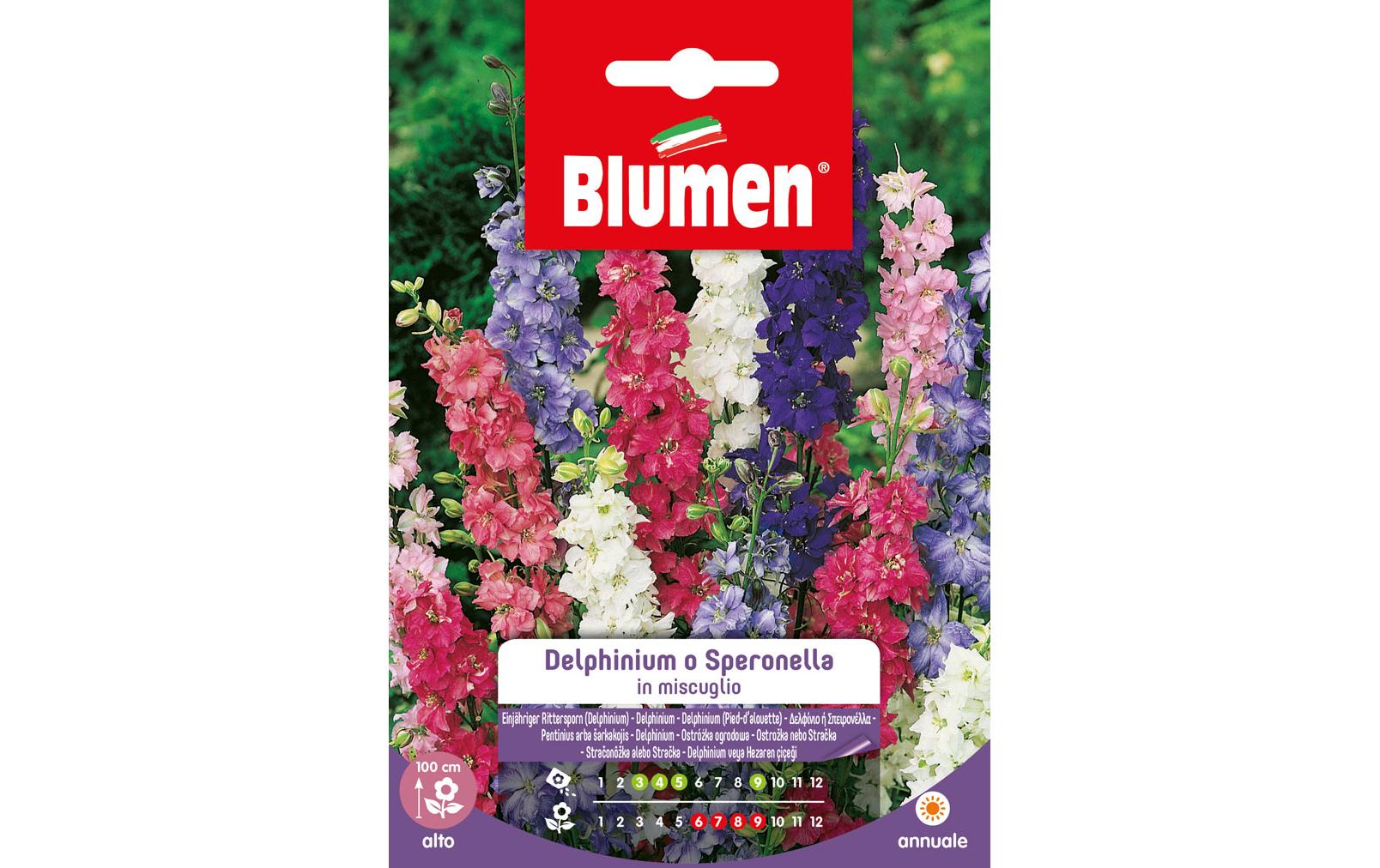 Saatgut Einjähriger Rittersporn MixBlumensamen