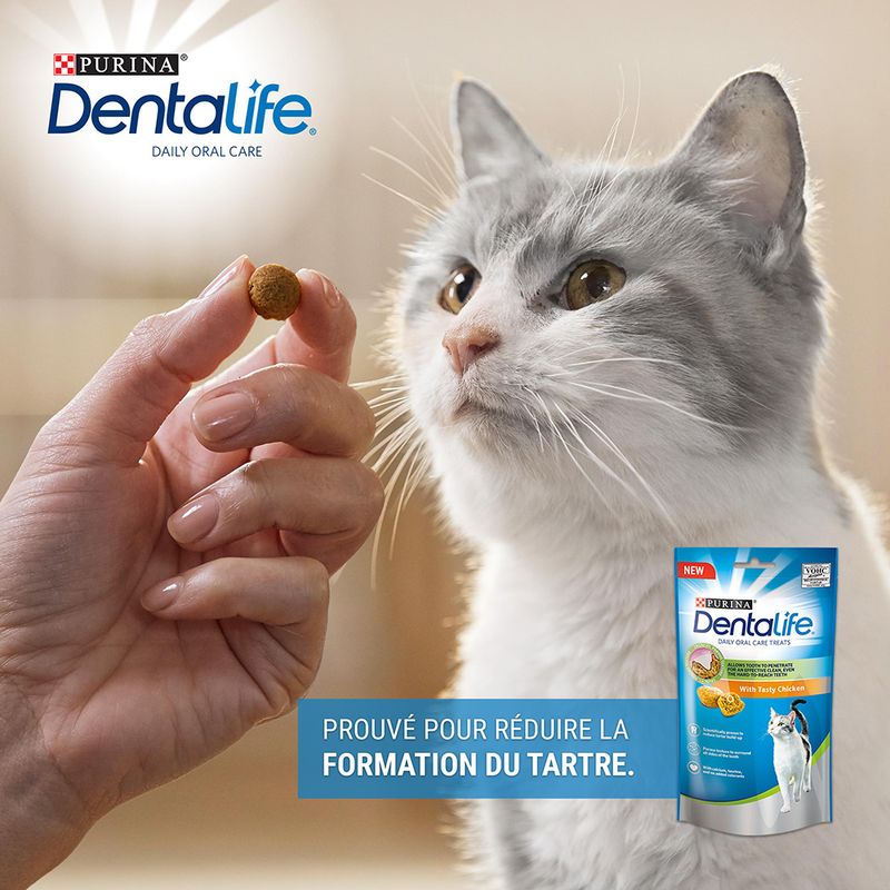 PURINA Dentalife poulet