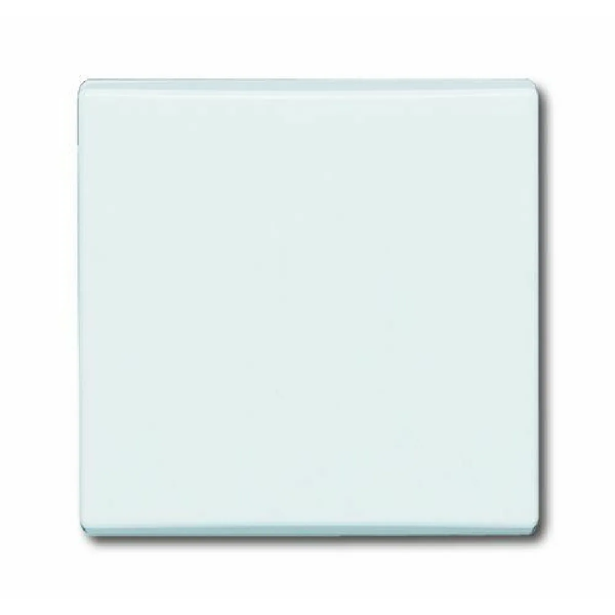 Busch-Jaeger Plaque recouvrement IP44 2106-32