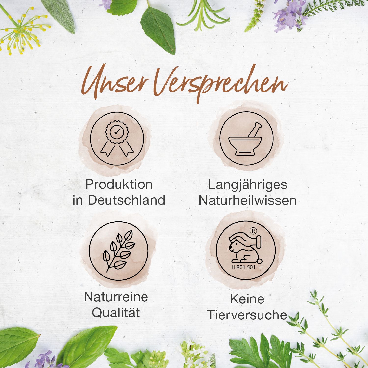 Bärbel Drexel Anti Karies Lutschpresslinge