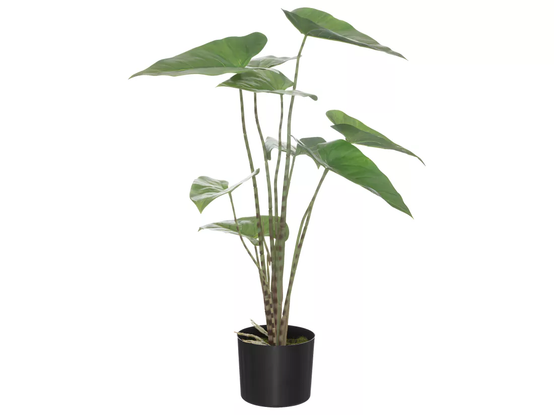 Plante artificielle Zebrina en pot H 74 cm