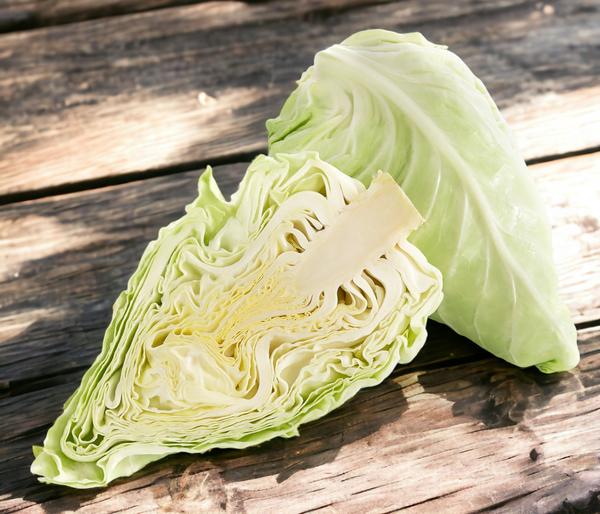 Spitzkohl, 6er Schale