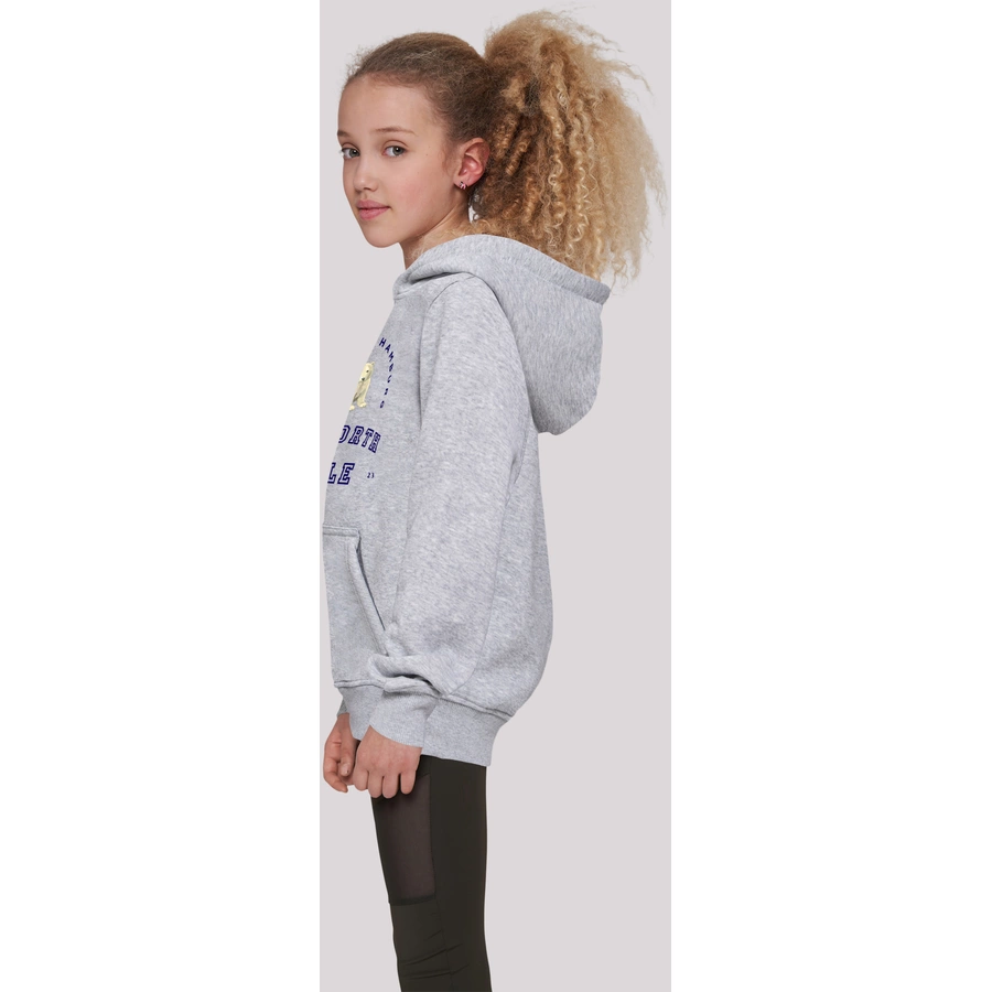 F4NT4STIC Hoodie Eisbär Knut & Jan Hamburg heather grey