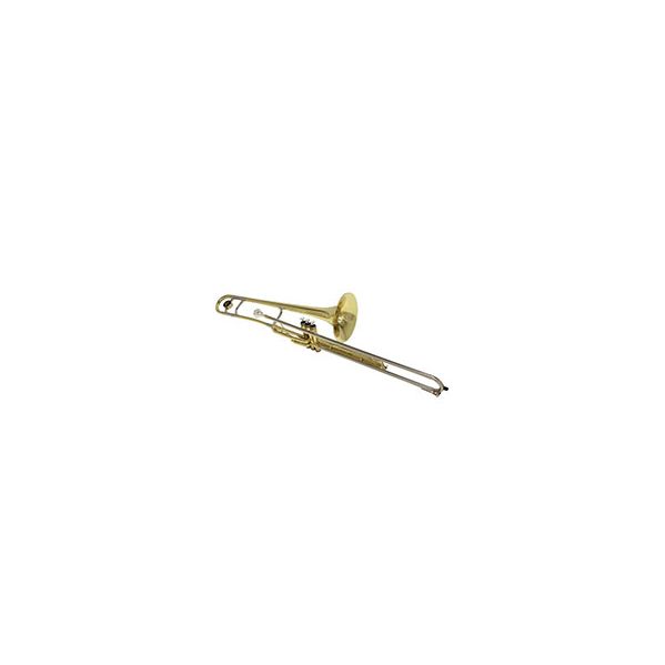 Roy Benson Trombone de Pistões VT227 Dourado