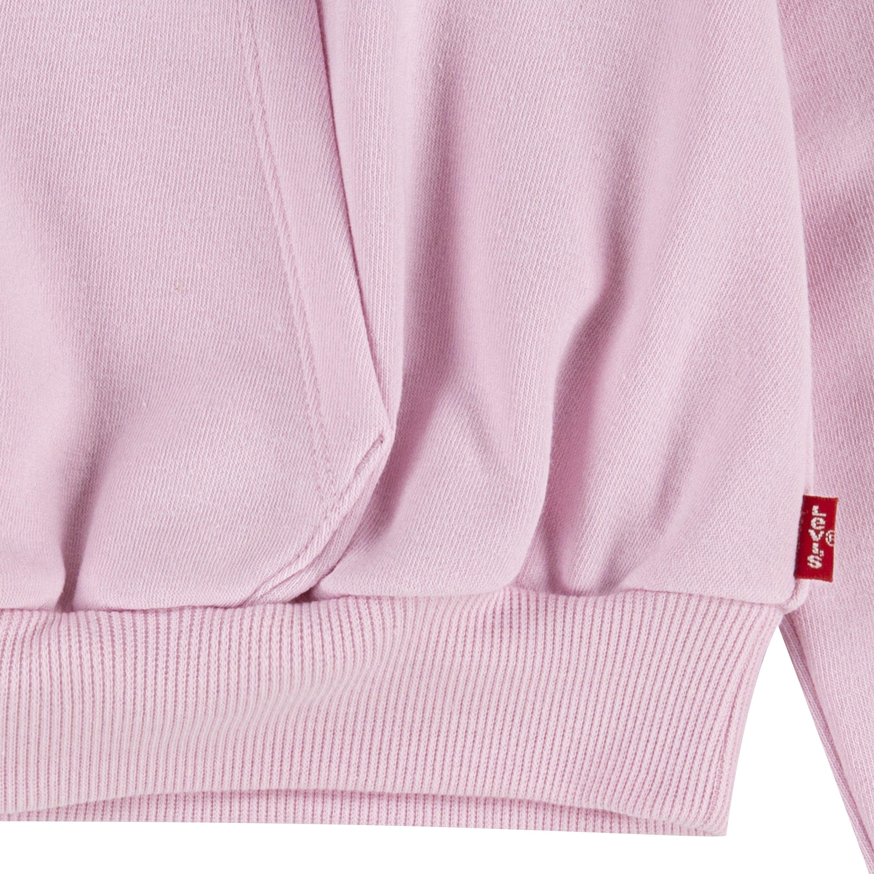 Levis Meet And Greet Hoodie Juniors