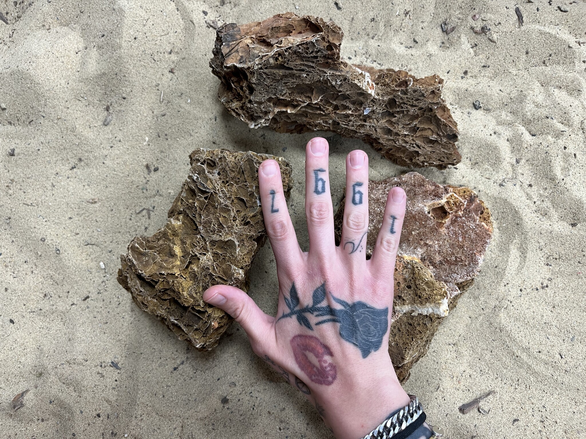 AQXL selected A Steenbundel Maple Leaf Rock bruin 3 stuk | Hardscaping