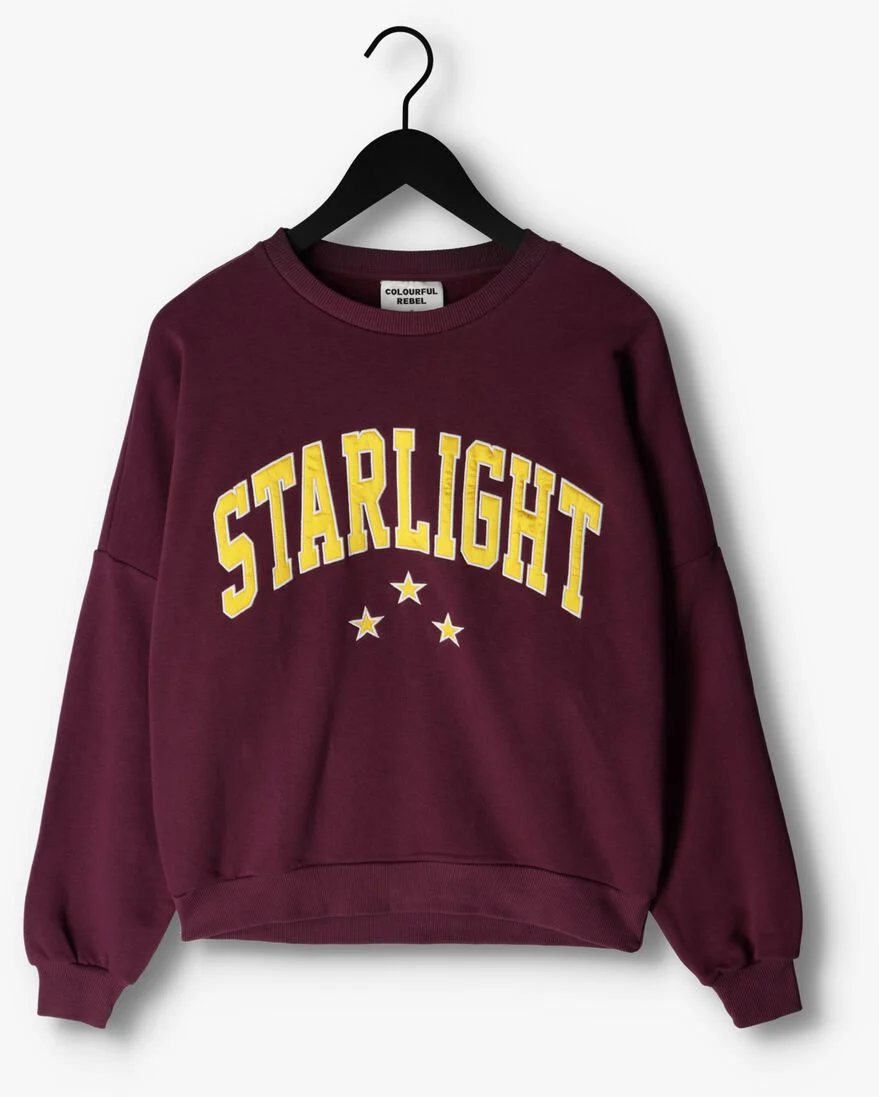 COLOURFUL REBEL bordeaux colourful rebel trui starlight patch dropped shoulder sweat