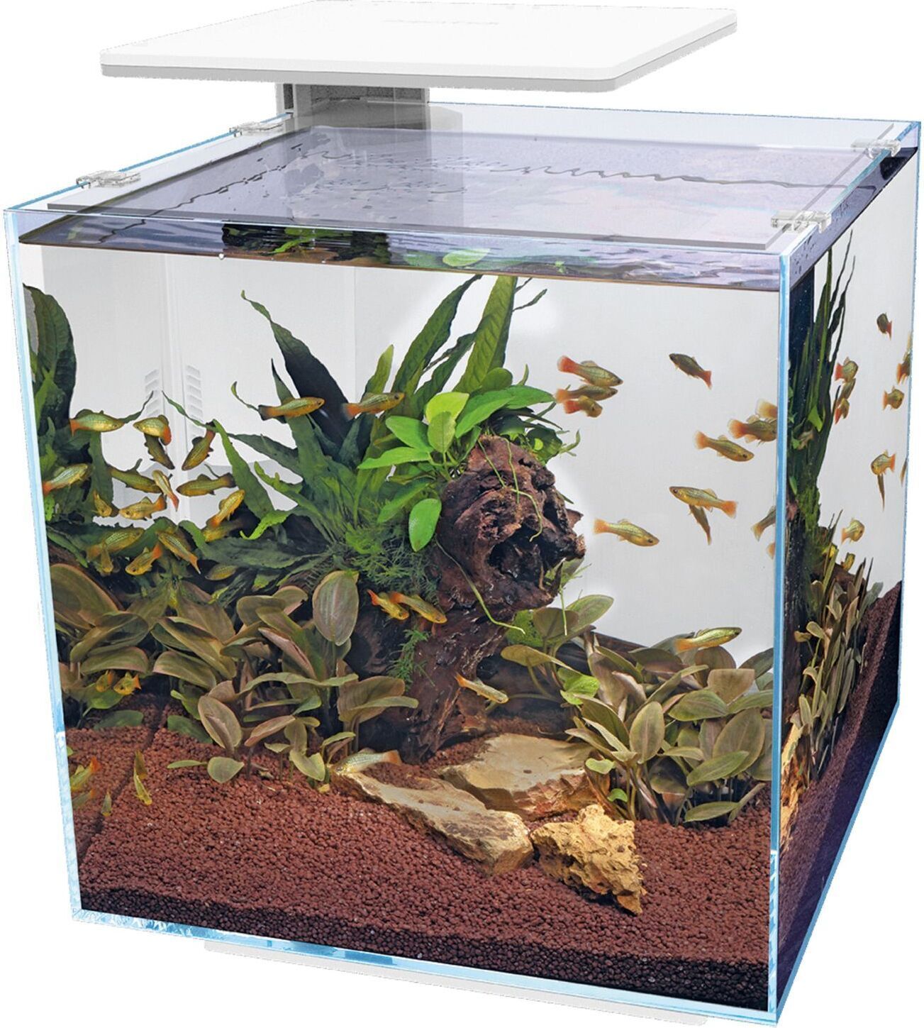 SuperFish aquarium QubiQ 60 Pro wit 60 L
