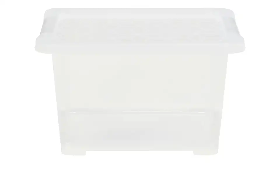 Rotho Aufbewahrungsbox 22,8 cm