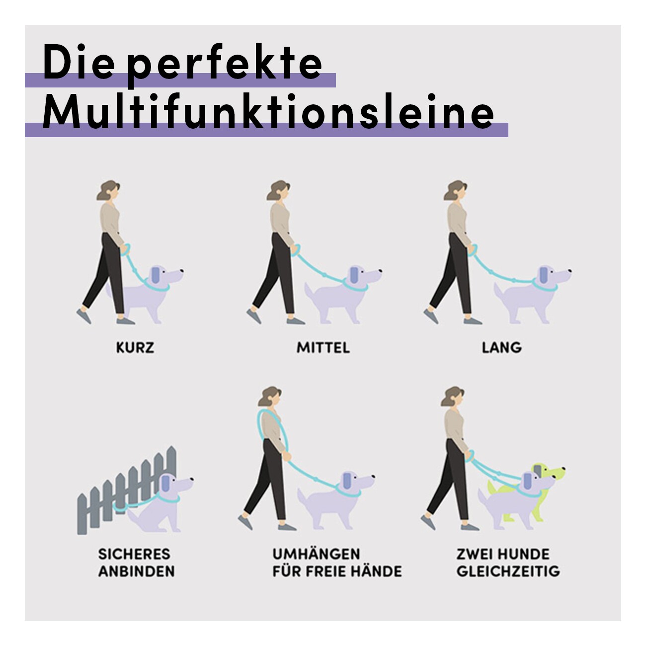 STUCH Hundeleine Führleine Lime S