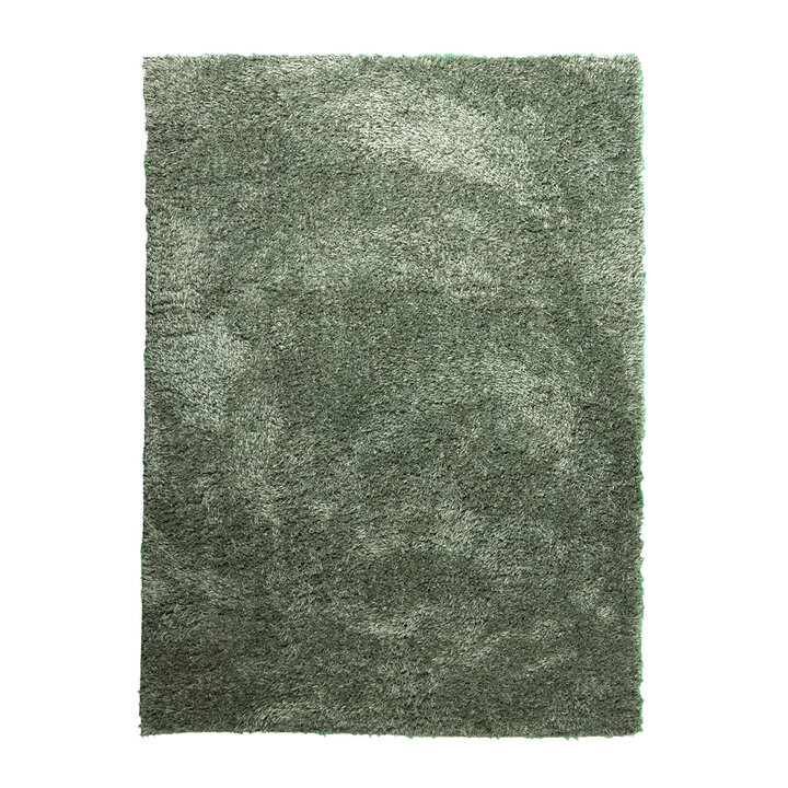 Shaggy vloerkleed - Blaze Groen