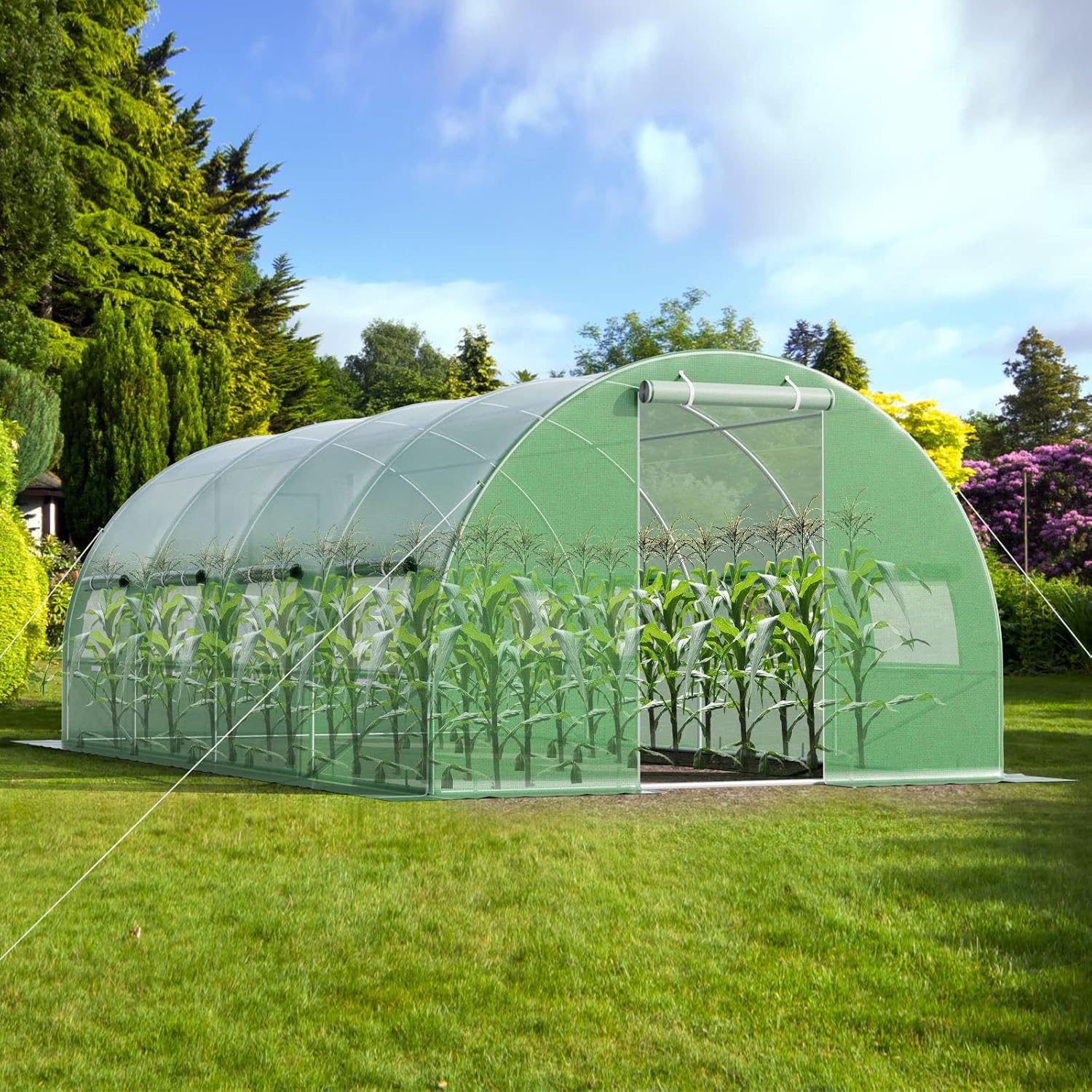 GOPLUS 6x3x2m Gewächshaus mit Metallrahmen, 18m² Gartengewächshäuser mit 8 Fenstern & 2 Türen, Foliengewächshaus für Bauernhof, Hinterhof & Garten (6x3x2m)