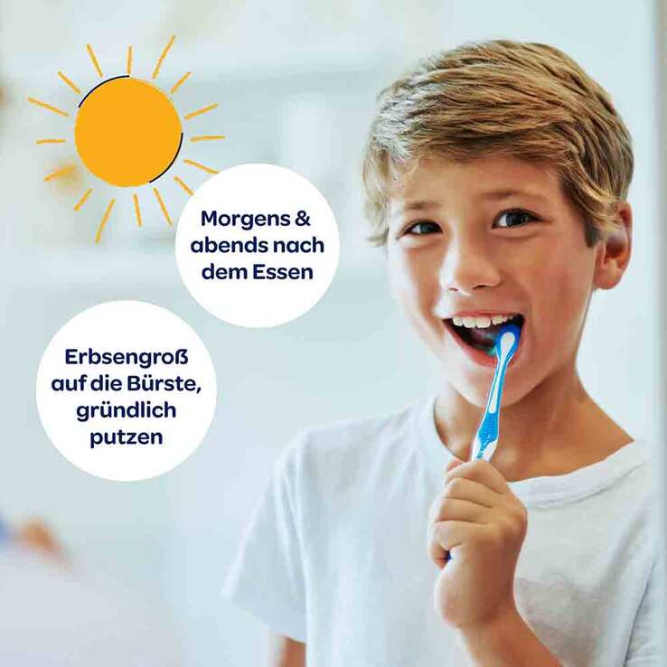 Dentinox Zahncreme Mundflora Junior, 75 ml