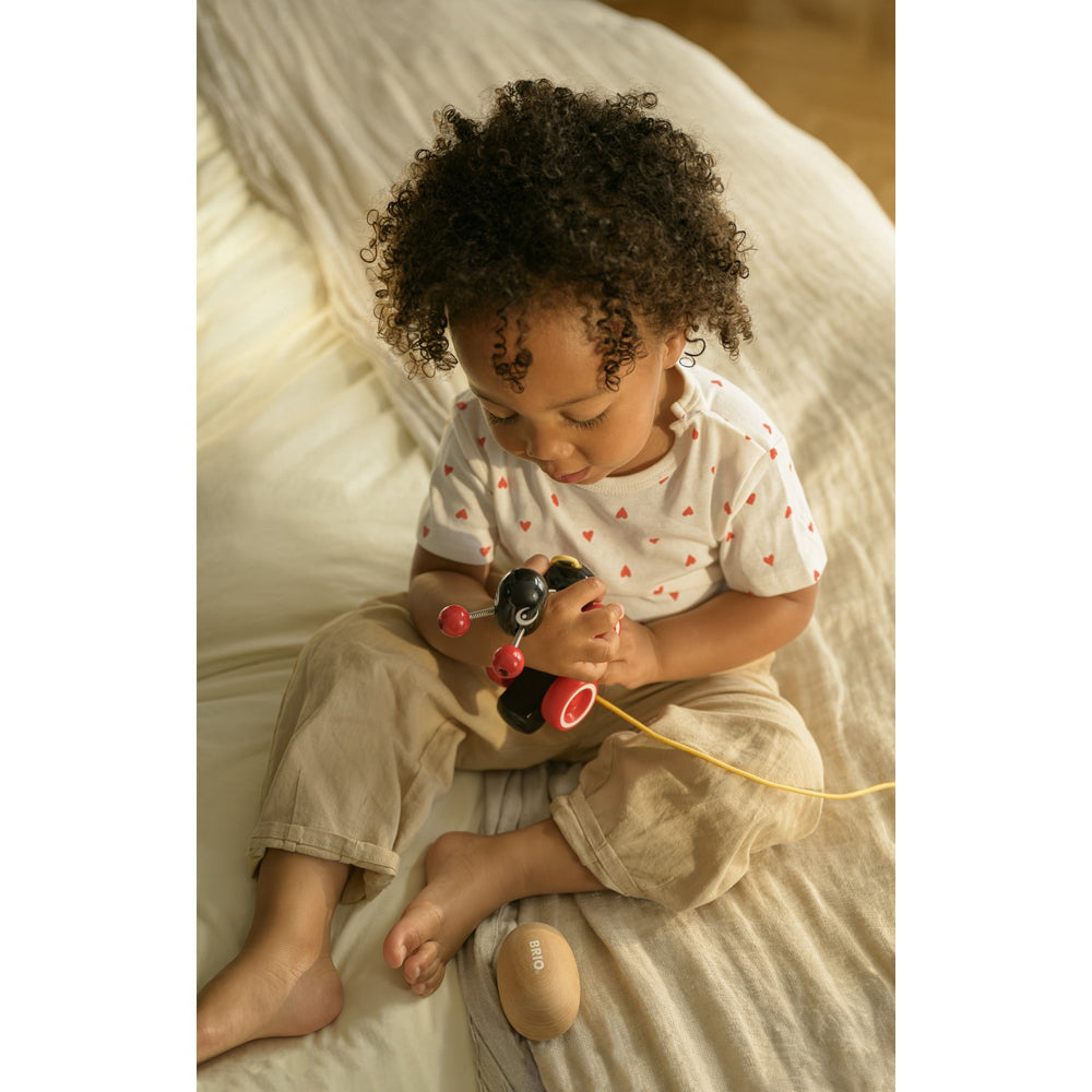 Køb BRIO® 30348 Pull Along Myre