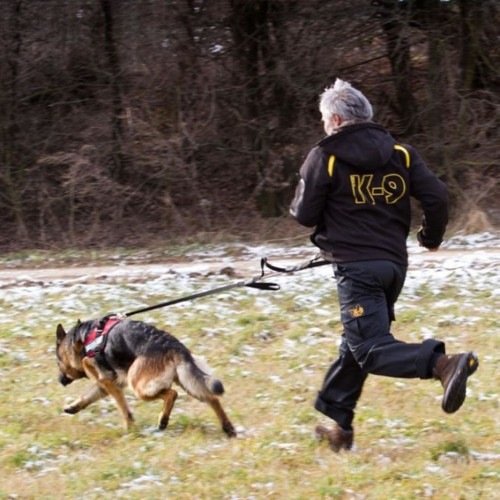 Cinto de corrida Black Dog
