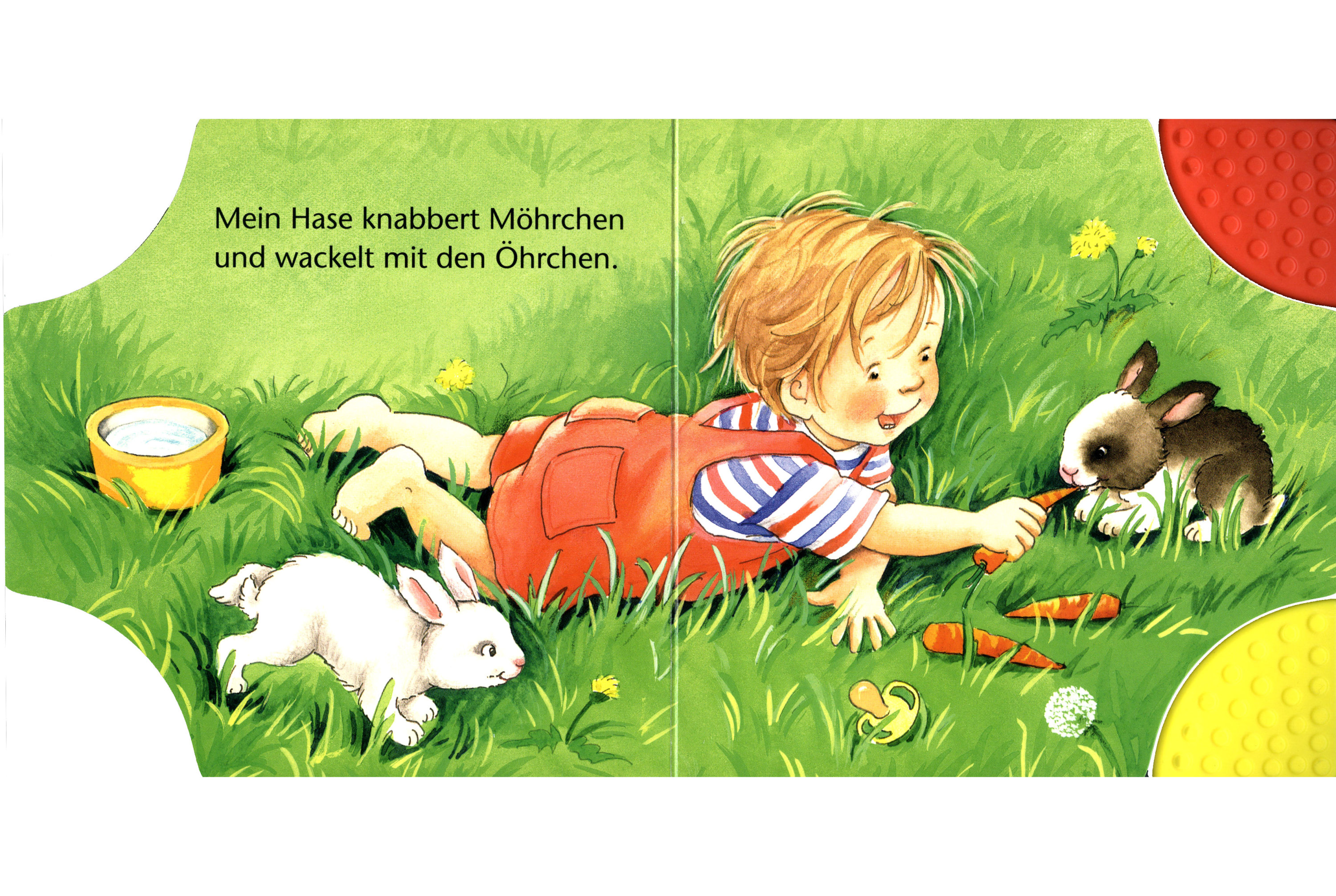 Ravensburger Ministeps - Mein erstes Spiel- und Beiß-Buch