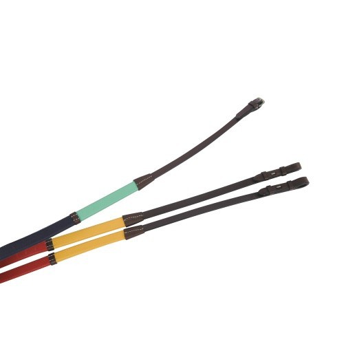 Rédeas coloridas para iniciantes, marrom/multicoloridas