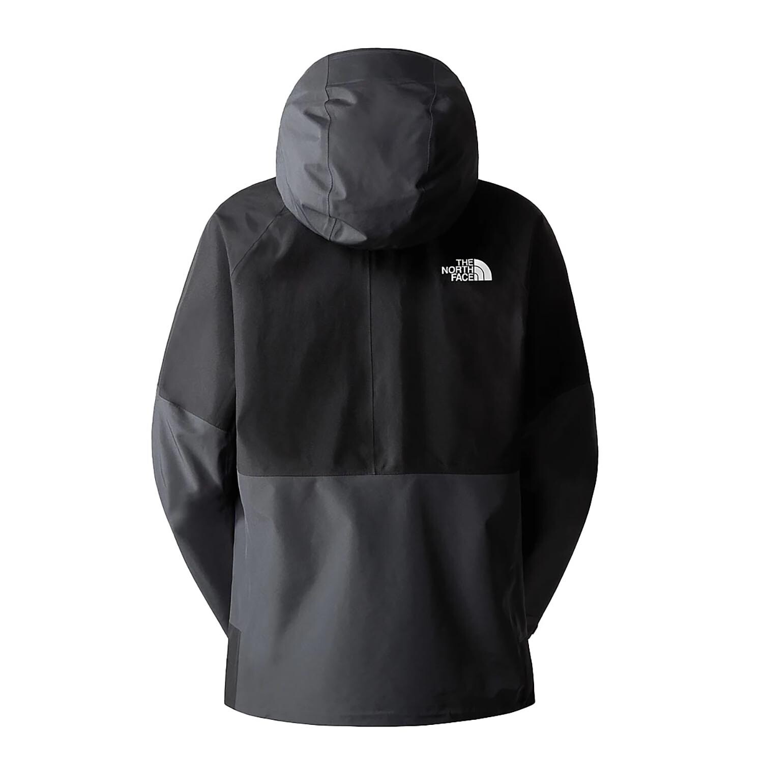 The North Face Mens Jazzi GTX Jacket