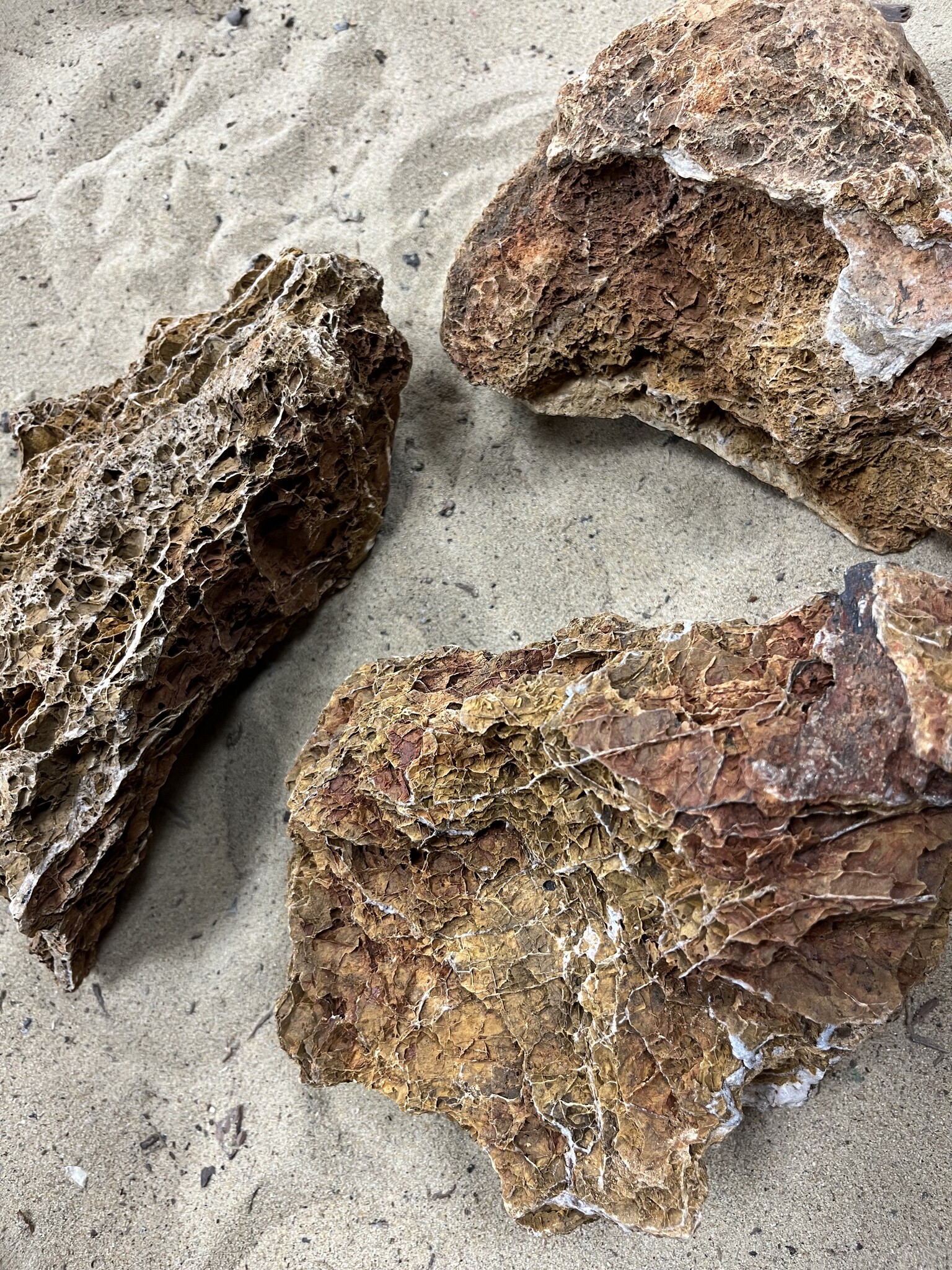 AQXL selected B Steenbundel Maple Leaf Rock bruin 3 stuk | Hardscaping