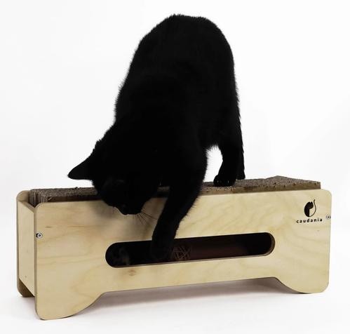 Arranhador para Gatos Caudania - Hora da Manicure? - Marrom