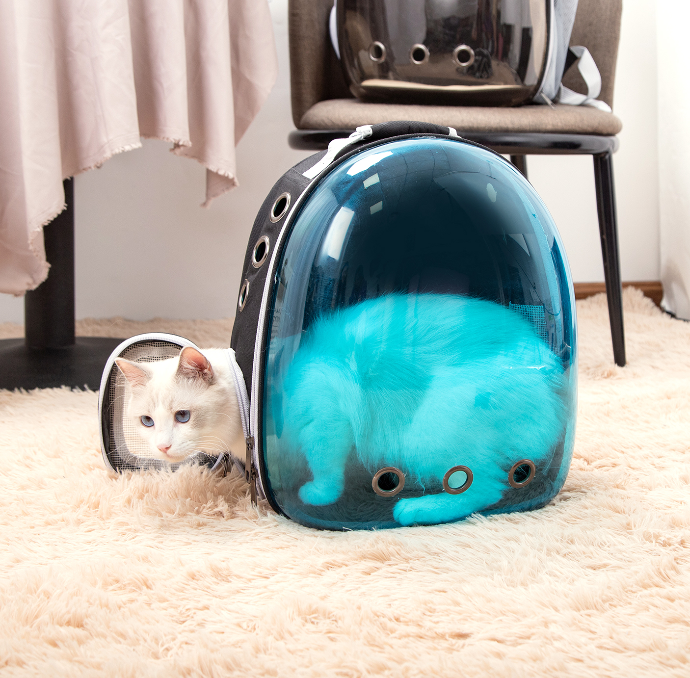 Mochila Nobleza para Cães, Mochila Transparente para Gatos, Mochila Expansível Aprovada para Viagens Aéreas para Cães de Pequeno Porte, Ideal para Passeios, Caminhadas ou Camping