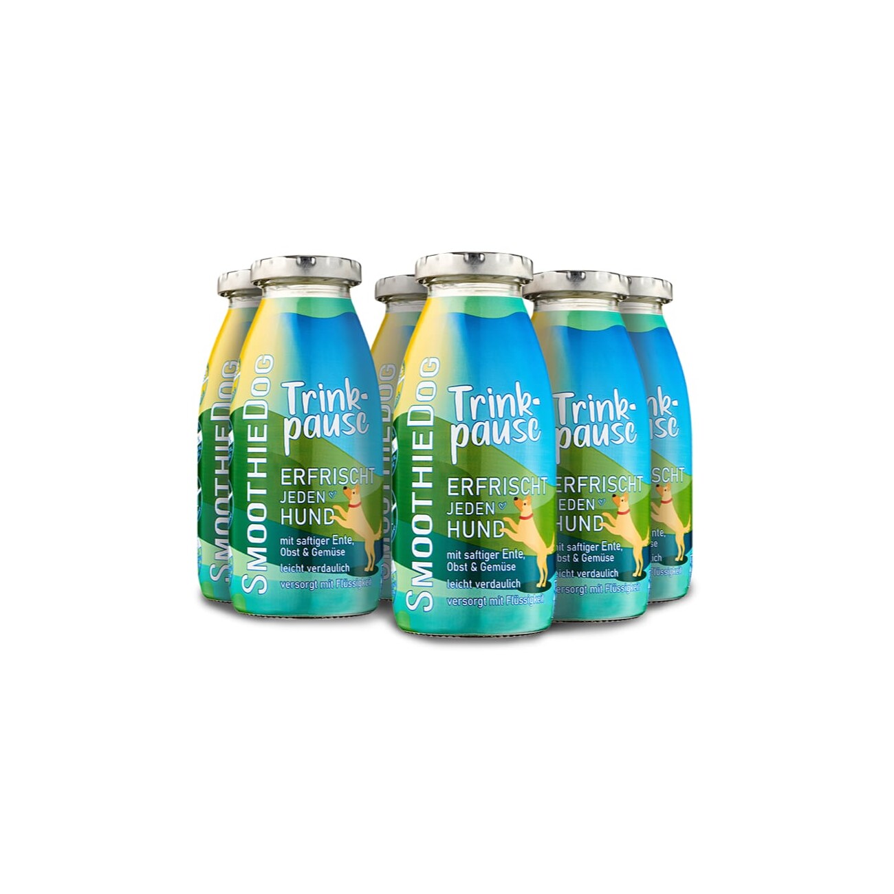 SmoothieDog Trinkpause 6x250 ml