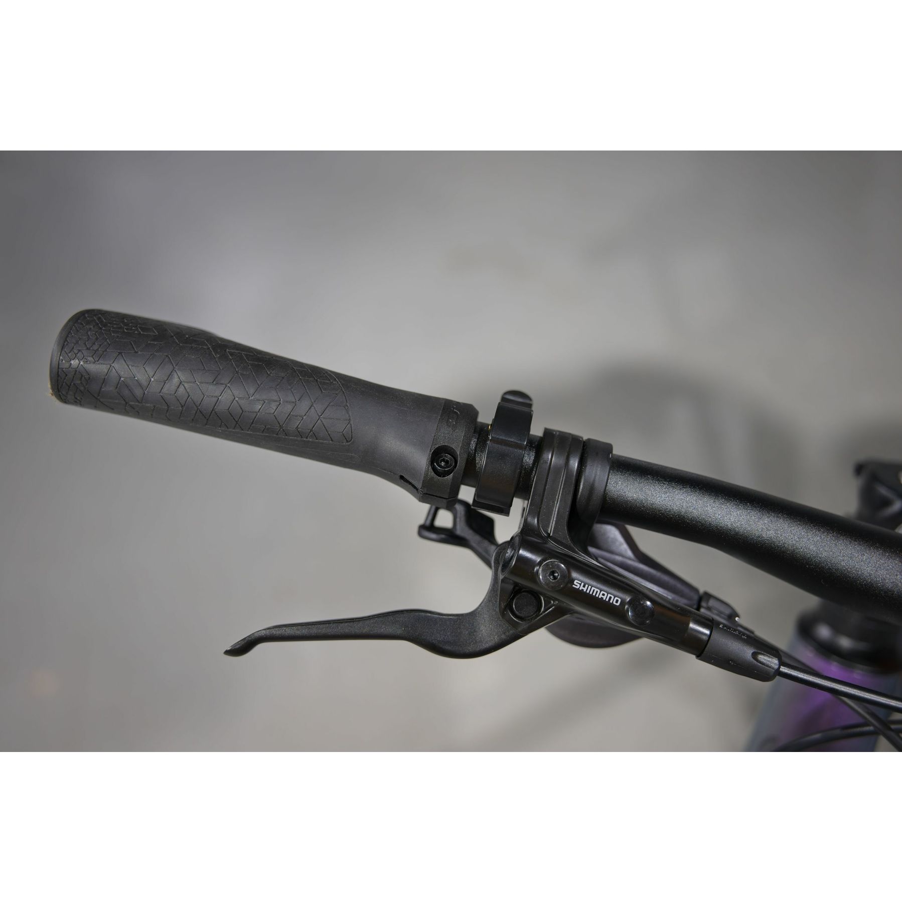 Winora Domingo 12 Pro