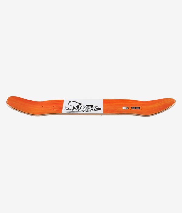 Polar Shin Sanbongi - Trophy Heads Surf Jr. 8.75
