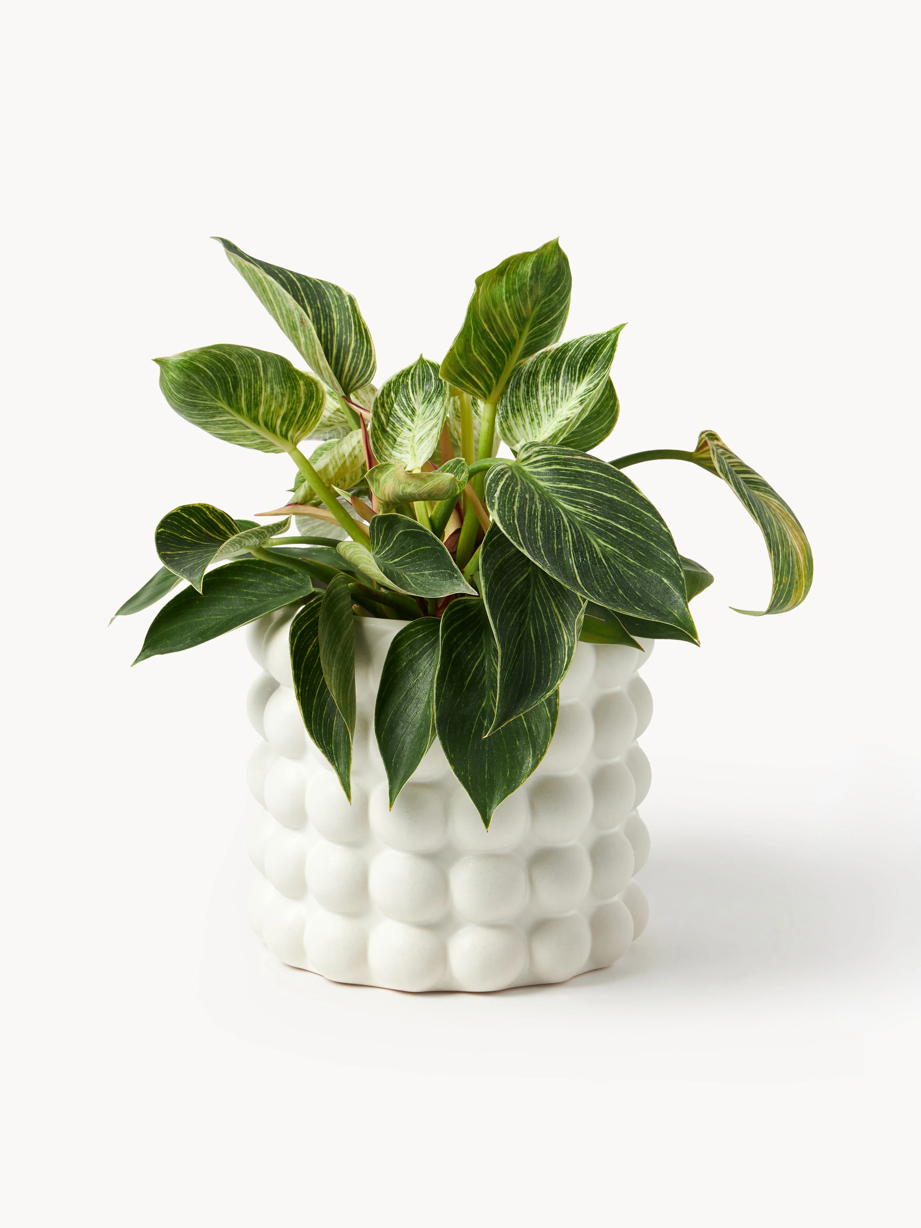 Plantenpot Bob van steengoed, H 18 cm