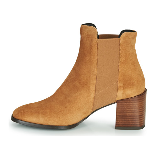 Fericelli - NONUTS - Camel