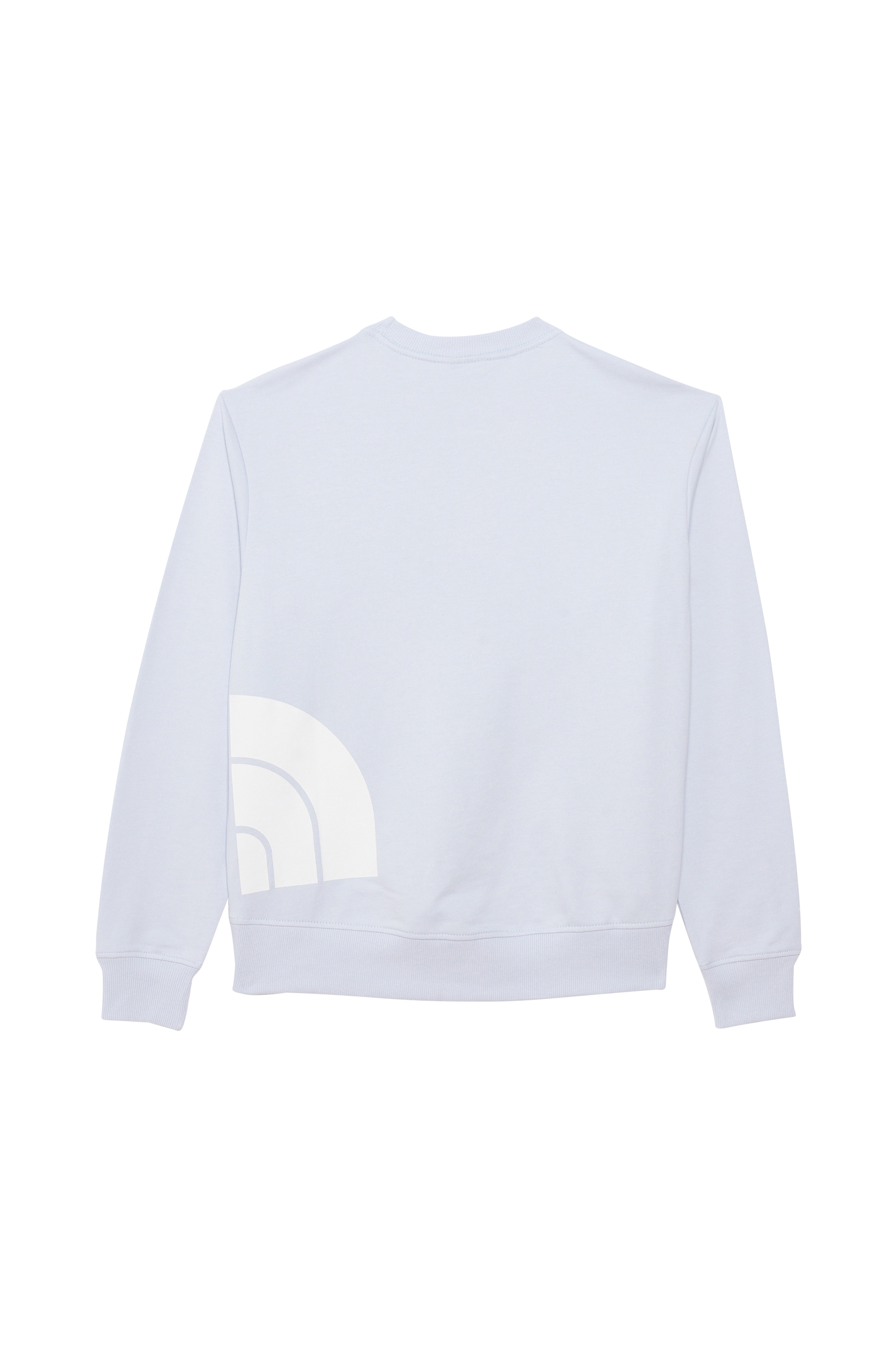 THE NORTH FACE Sweat W BLOWN UP LOGO CREW Bleu