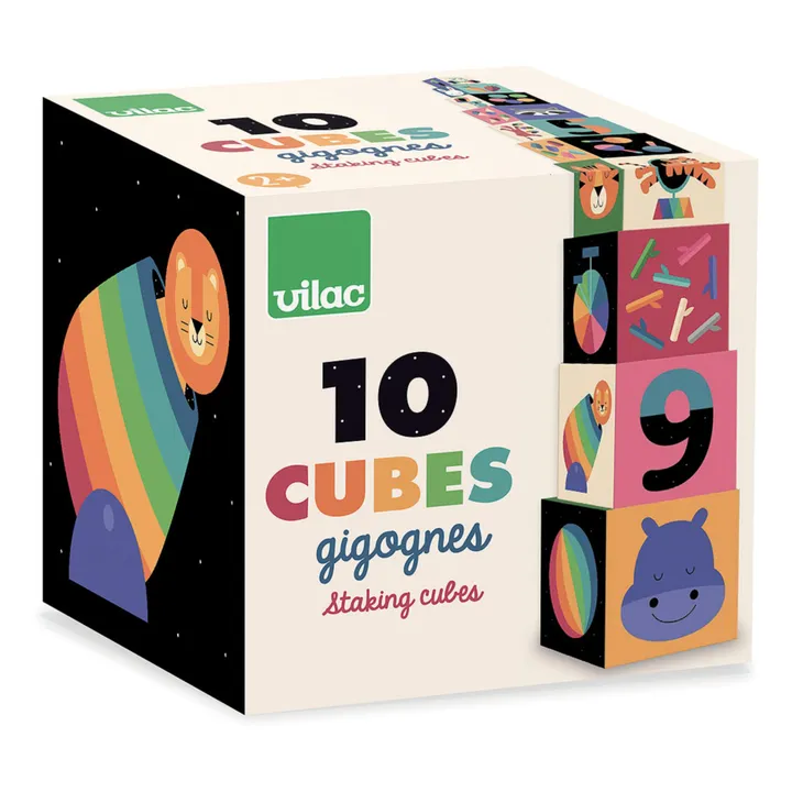 Vilac Cubes gigognes Arc-en-ciel