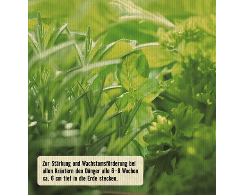 FloraSelf Nature BIORGA biologische kruidenmeststof 0,5 kg veganistisch