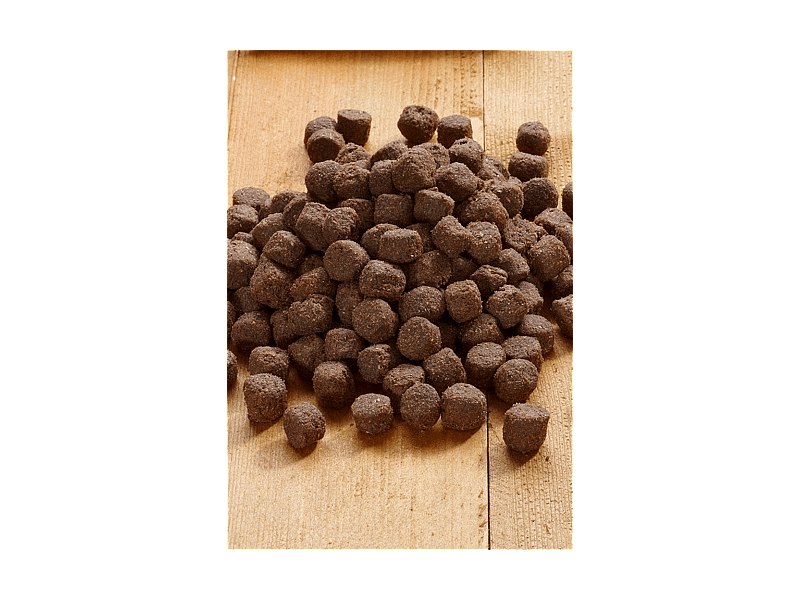 Vet-concept Basic Plain Hond 5 kg