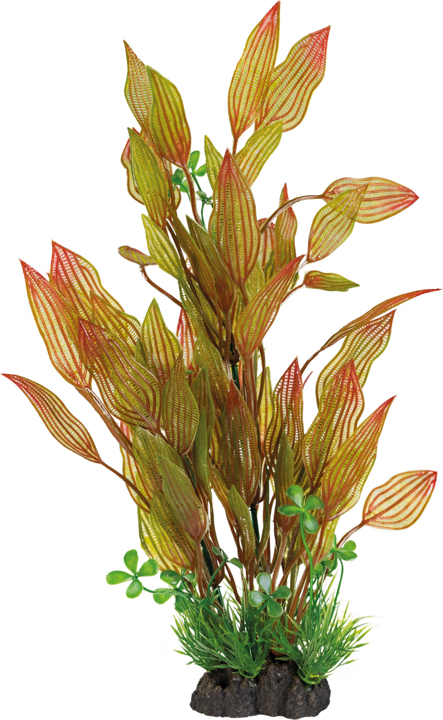 SuperFish aquarium decoratie kunstplant Henkelianus groen / rood 8 x 12 x 40 cm
