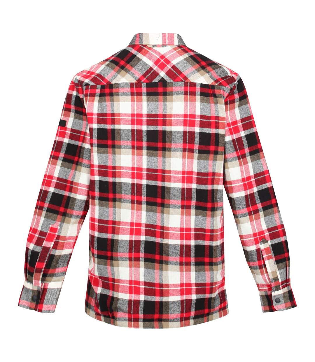 Regatta - Chemise THAMOS - Homme (Rouge) - UTRG7040