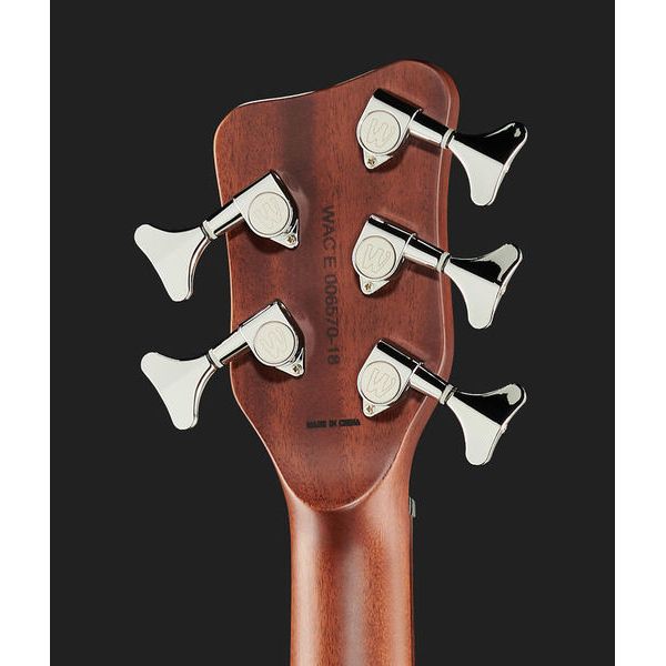 Warwick Alien Deluxe 5 Hybrid Thinline